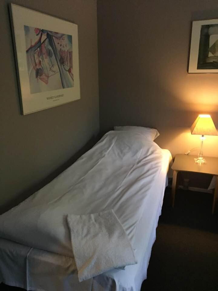 קורסור Hotel Svanegarden מראה חיצוני תמונה